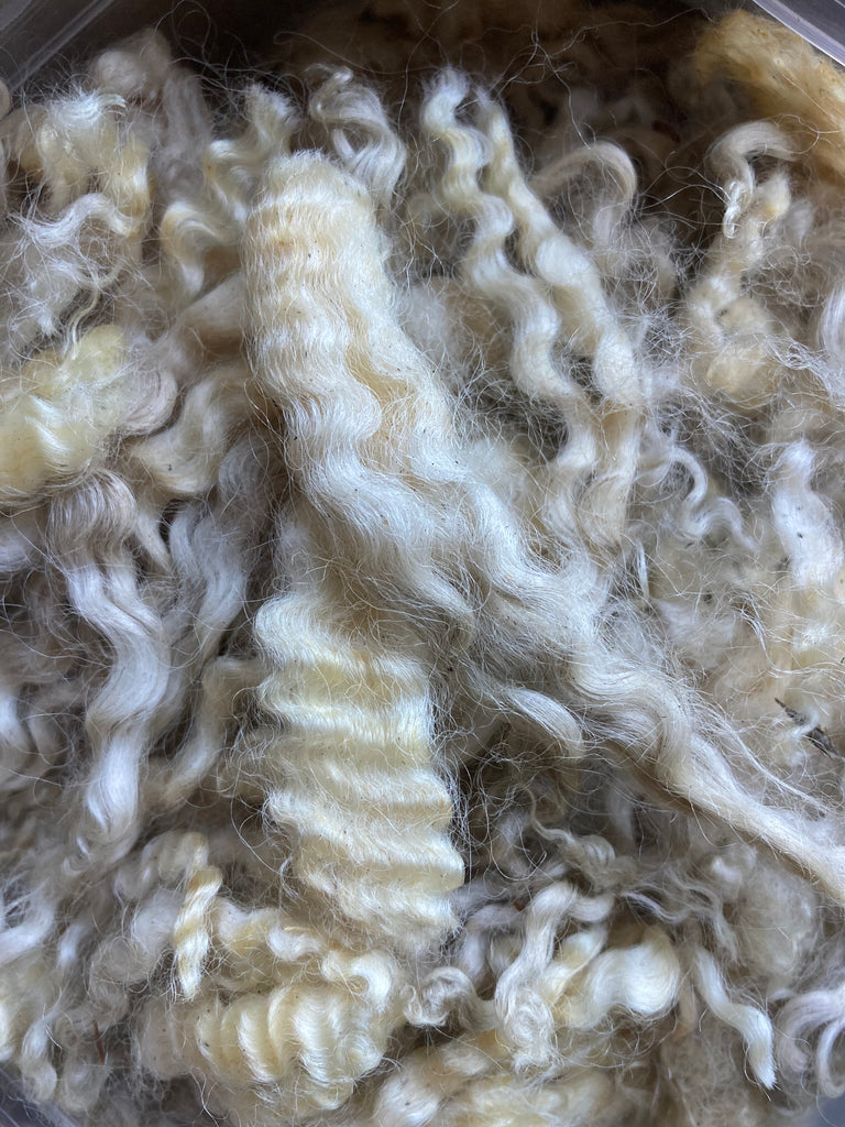 Fibre & Roving