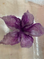 Felted Flowers with Jo Barr - Sat May 24 (9:30am & 1:30pm)