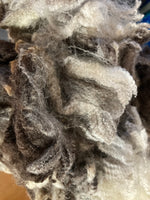 Merino Raw Fibre (HARLEQUIN)