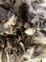 Merino Raw Fibre (HARLEQUIN)