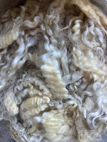 English Leicester Raw Fibre (WHITE)