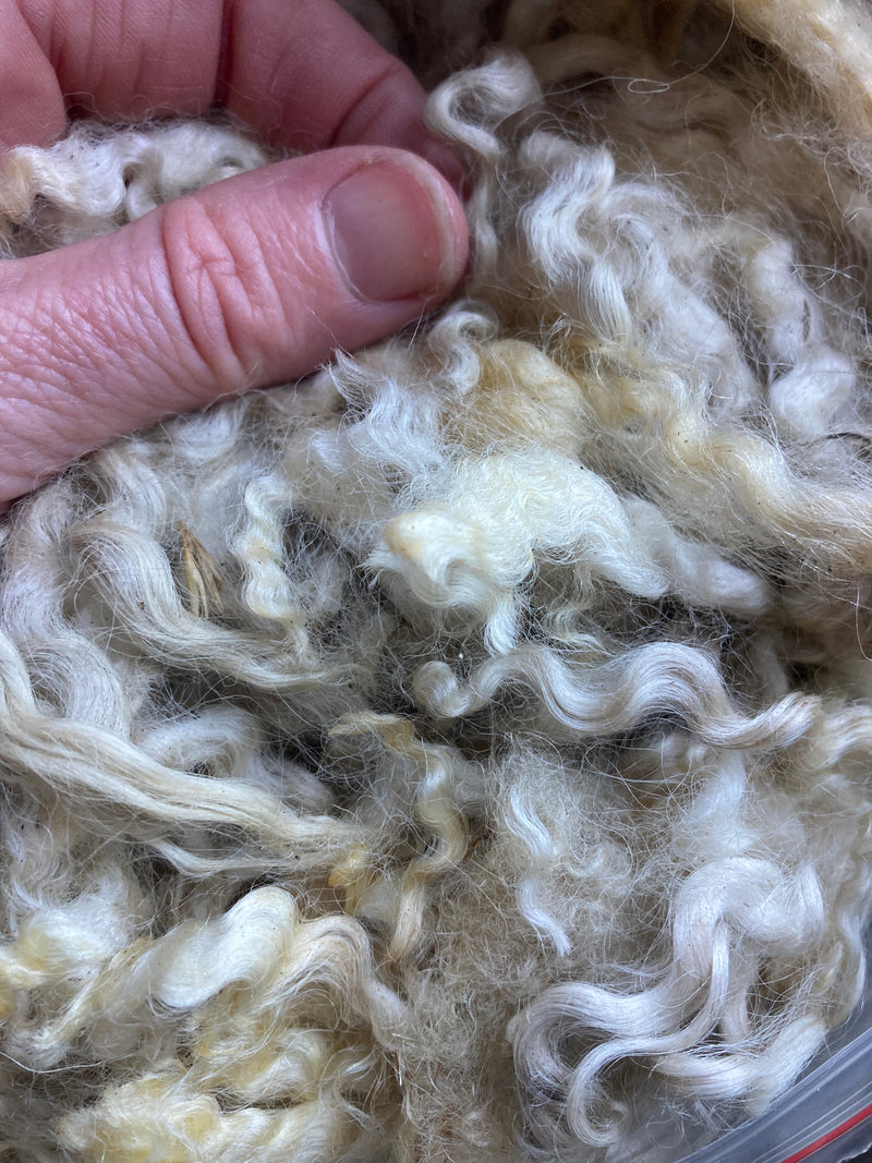 English Leicester Raw Fibre (WHITE)