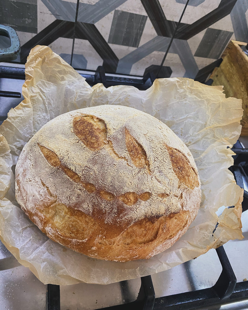 No-knead Bread and Focaccia Workshop' with Jenny Nicastri, Classes in the Kitchen - Saturday May 3