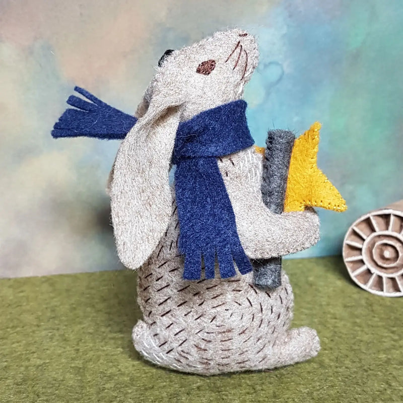 Prof Hare Stargazer Felt Craft Mini Kit