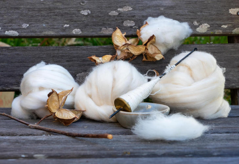 Spin Cotton with a Tahkli with Elizabeth Woods - Saturday May 25 (9:30am)