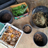 Composting & Worm Farming – Saturday March 23