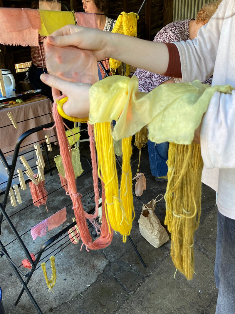 Botanical Dyeing - Extraction Method with Sue Connor - Fri May 24 (9am)