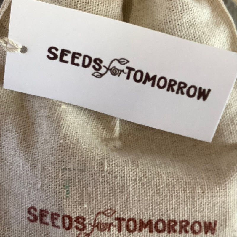 Seeds of Tomorrow Affirmation Cards