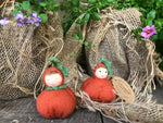 Pumpkin Babies