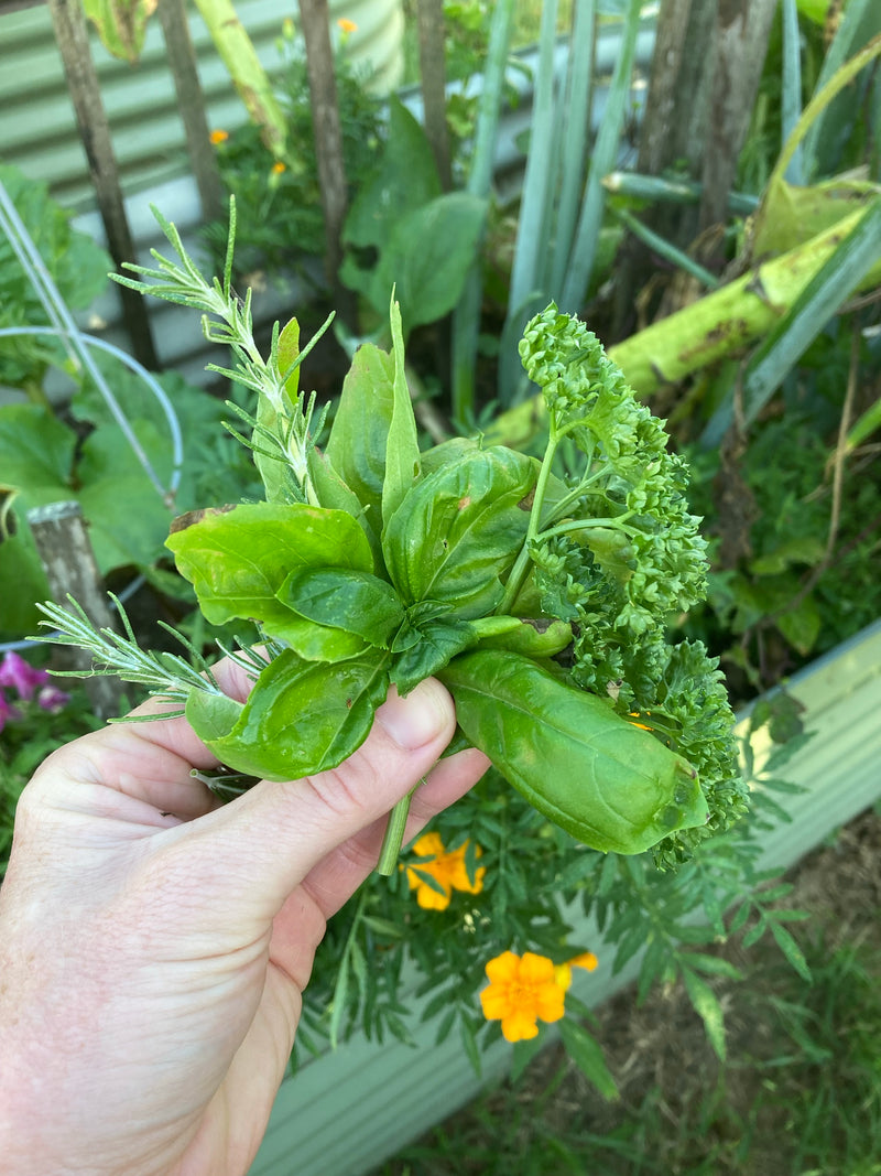 ORGANIC Vegetable, Herb & Flower Seeds