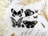Cyanotype Stencil Kit