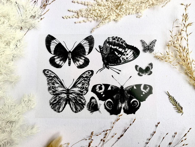 Cyanotype Stencil Kit