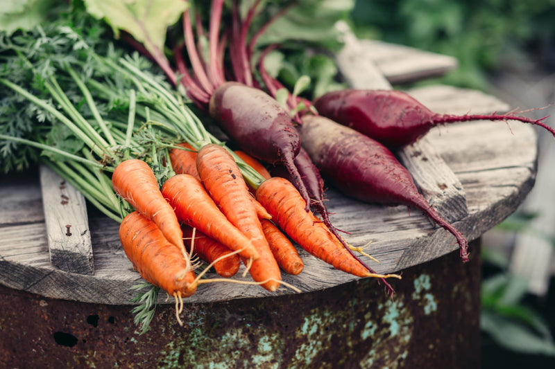 Vegetable, Herb & Flower Seeds
